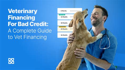 no credit check pet financing|no credit check veterinary financing.